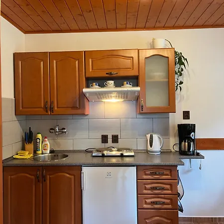 Apartment Pfeiferova