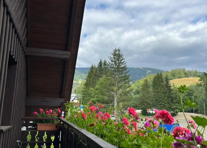 Pfeiferova Appartement *